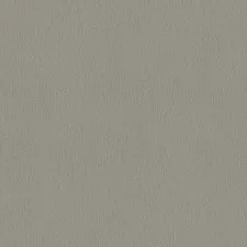36119