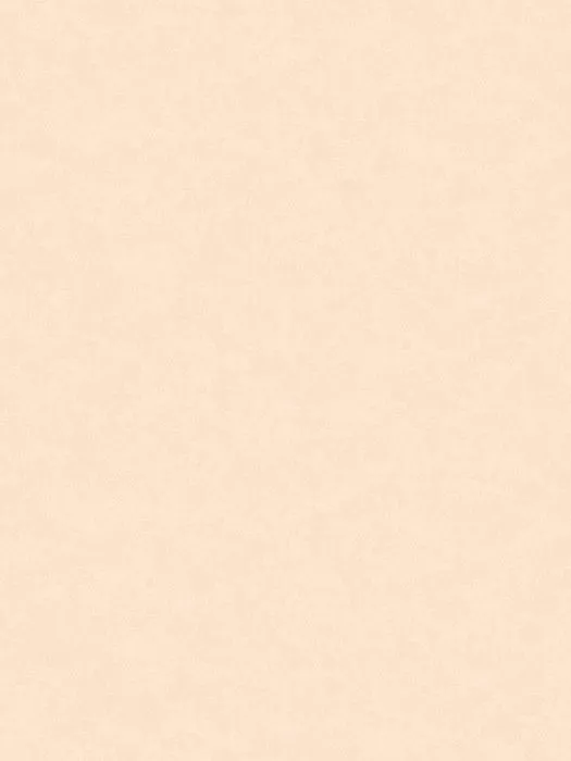 NP11 003