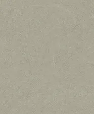 Обои Rasch Concrete 520279