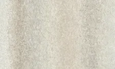 A55207