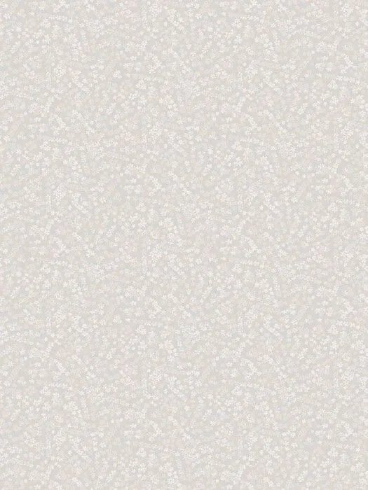 MR2 001