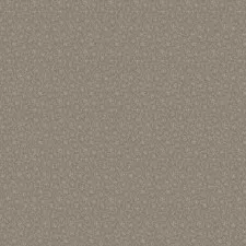 V3 010