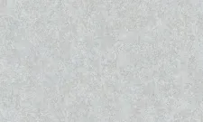 A55106