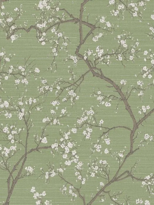 ABC2 005-2