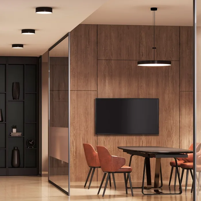 Потолочный светильник Arte Lamp FADO A6699PL-1BK | Дом Декора