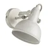 Спот Arte Lamp MARTIN A5213AP-1WG | Дом Декора