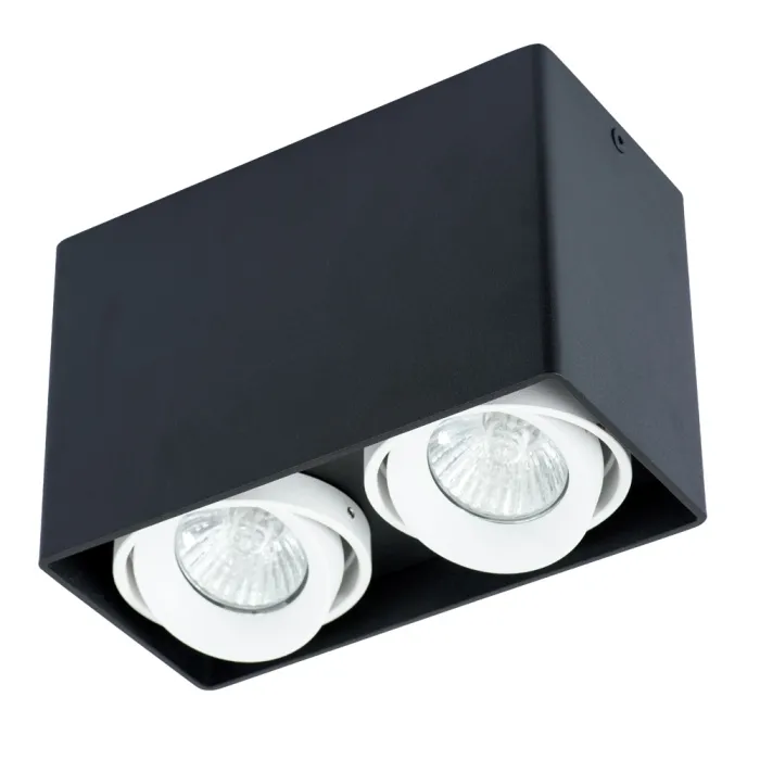 Точечный накладной светильник Arte Lamp PICTOR A5655PL-2BK | Дом Декора