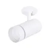 Спот Arte Lamp NAHN A3221PL-1WH | Дом Декора