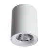 Точечный накладной светильник Arte Lamp FACILE A5118PL-1WH | Дом Декора