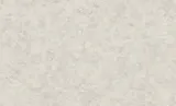 Обои Rasch Murano RM645668