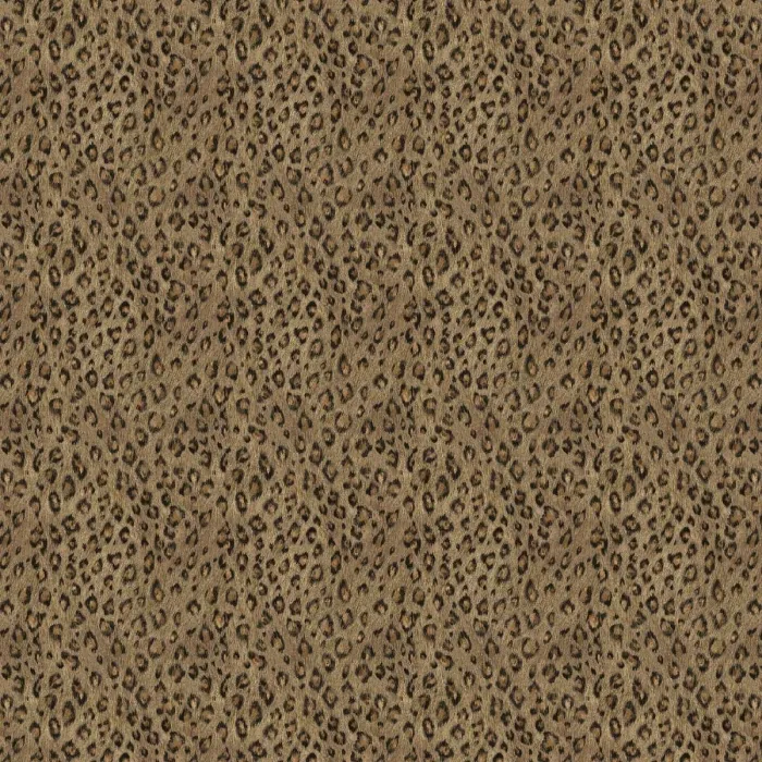 36128_1