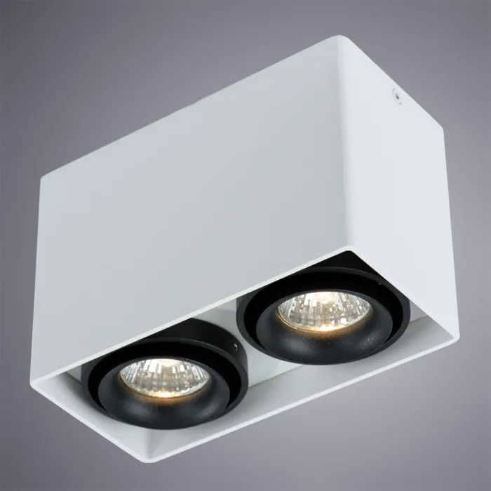 Точечный накладной светильник Arte Lamp PICTOR A5655PL-2WH | Дом Декора