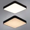 Потолочный светильник Arte Lamp SCENA A2663PL-1BK | Дом Декора