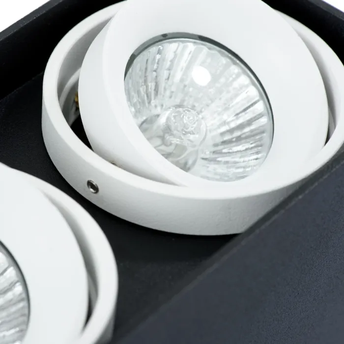 Точечный накладной светильник Arte Lamp PICTOR A5655PL-2BK | Дом Декора