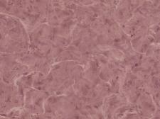 Обои Zambaiti parati Viaggio Italiano R 23002