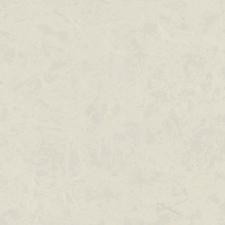 Обои Zambaiti Parati Philipp Plein Z80016