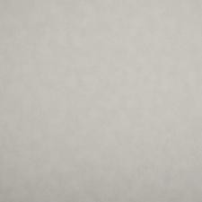 Обои NC Color 4050-050