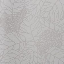 Обои Andrea Rossi Cavolli 54415-1