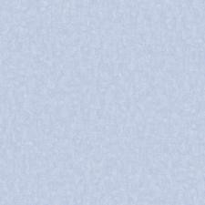 Обои Bernardo Bartalucci Carlotta 84212-1