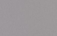 R5 008 Обои Loymina Rosa Dragomirski