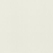 980318 Обои Rasch Fresh Up