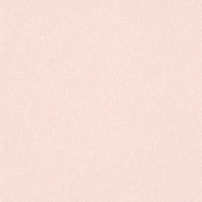 Обои Rasch Bambino XIX 252941