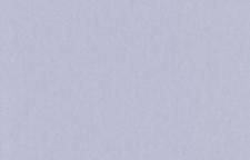 R5 006 Обои Loymina Rosa Dragomirski