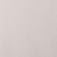 Обои Andrea Rossi Cavolli 54420-4