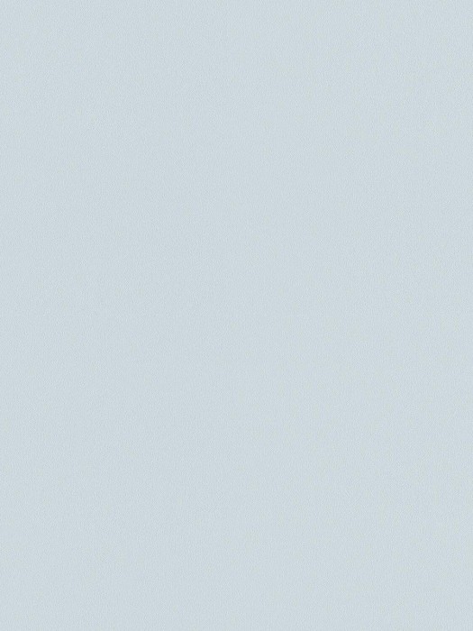 A100217