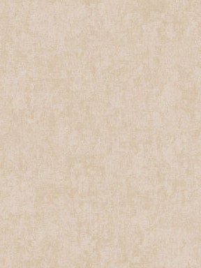 ARTS13 004