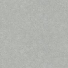 Обои A.S. Creation Universe Textile 29598-7