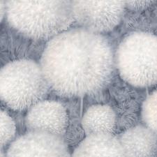 Palitra Dandelion Chiki SP72380-64