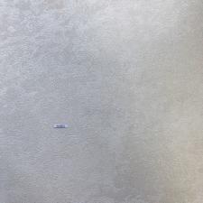 90106-2 Обои Roberto Borzagi Queen I