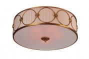 Потолочный светильник Divinare 4006/01 PL-5