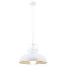 Лофт светильник Arte Lamp MARTIN A5213SP-1WG