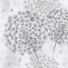 Обои Fox Соната 11660