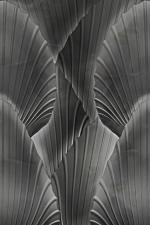 Панно Zambaiti Parati Trussardi VII Z18972