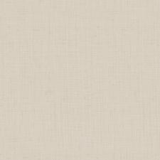 Обои Zambaiti Parati Philipp Plein Z80048