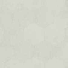 Обои Zambaiti Parati Philipp Plein Z80002