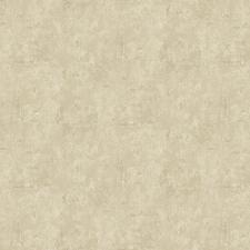 Обои Bruno Zoff Silver 60119-4