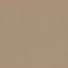 Обои Zambaiti Parati Philipp Plein Z80047