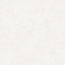 A75501