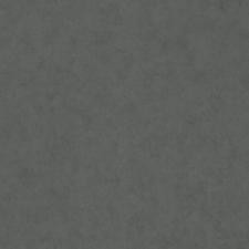 Обои Cassanie Simply SP112