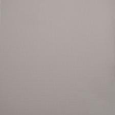 Обои Alessandro Allori Rebecca 15003-7