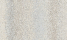 A55206