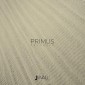 Обои Primus